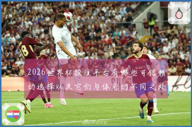 2026世界杯投注平台有哪些可信赖的选择以及它们与体彩的不同之处