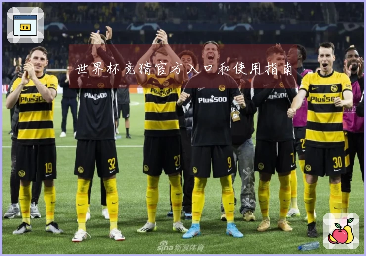 世界杯竞猜官方入口和使用指南