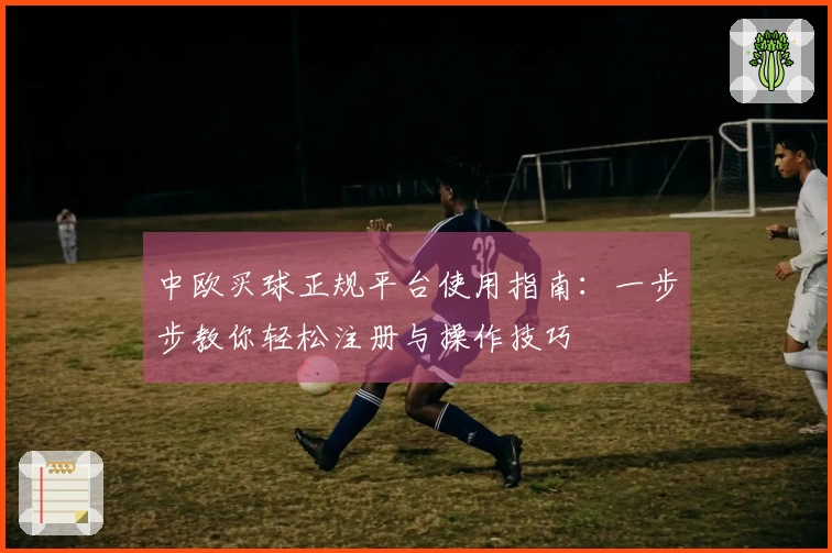 中欧买球正规平台使用指南：一步步教你轻松注册与操作技巧