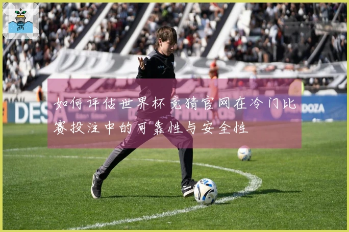 如何评估世界杯竞猜官网在冷门比赛投注中的可靠性与安全性