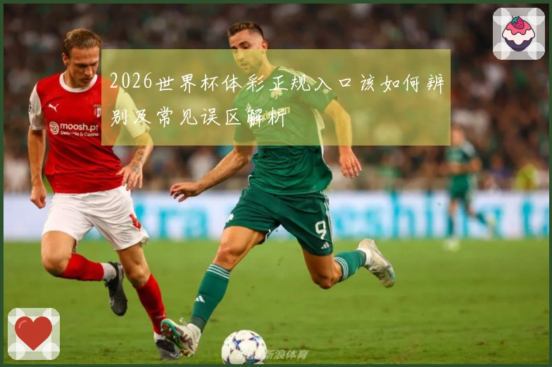 2026世界杯体彩正规入口该如何辨别及常见误区解析