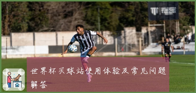 世界杯买球站使用体验及常见问题解答