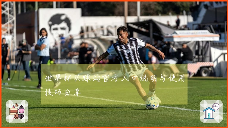 世界杯买球站官方入口说明与使用技巧分享