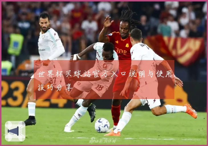世界杯买球站官方入口说明与使用技巧分享