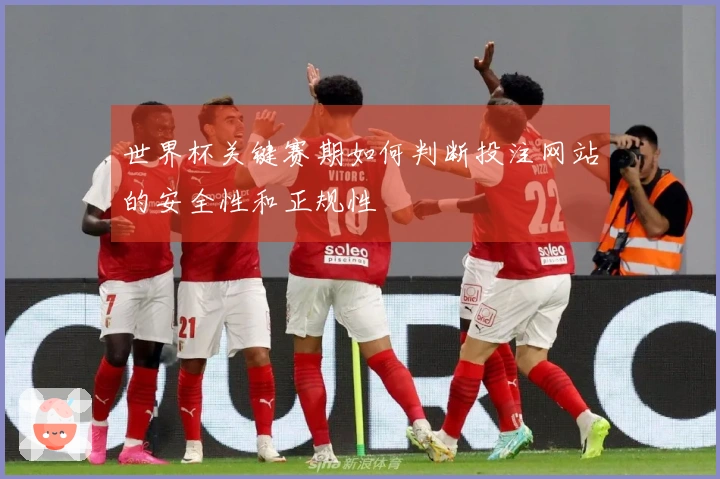 世界杯关键赛期如何判断投注网站的安全性和正规性
