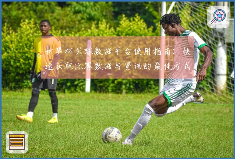 世界杯买球数据平台使用指南：快速获取比赛数据与资讯的最佳方式