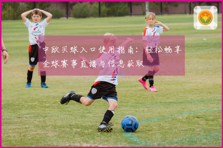 中欧买球入口使用指南：轻松畅享全球赛事直播与信息获取