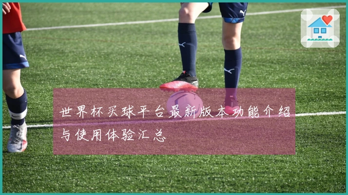 世界杯买球平台最新版本功能介绍与使用体验汇总