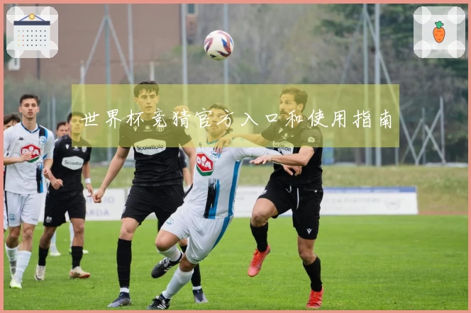 世界杯竞猜官方入口和使用指南