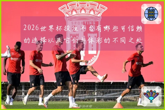 2026世界杯投注平台有哪些可信赖的选择以及它们与体彩的不同之处