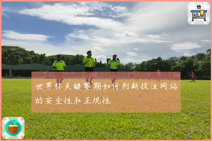 世界杯关键赛期如何判断投注网站的安全性和正规性