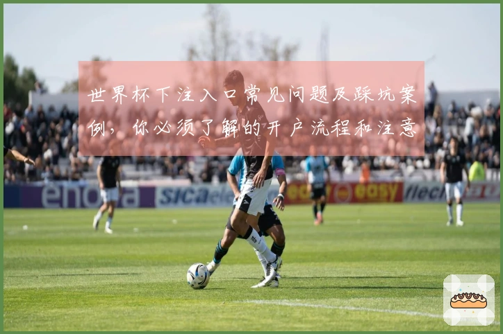 世界杯下注入口常见问题及踩坑案例,你必须了解的开户流程和注意事项